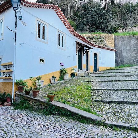 Villa Pe Do Castelo Casinha - Pet Friendly & Garage Tomar Esterno foto