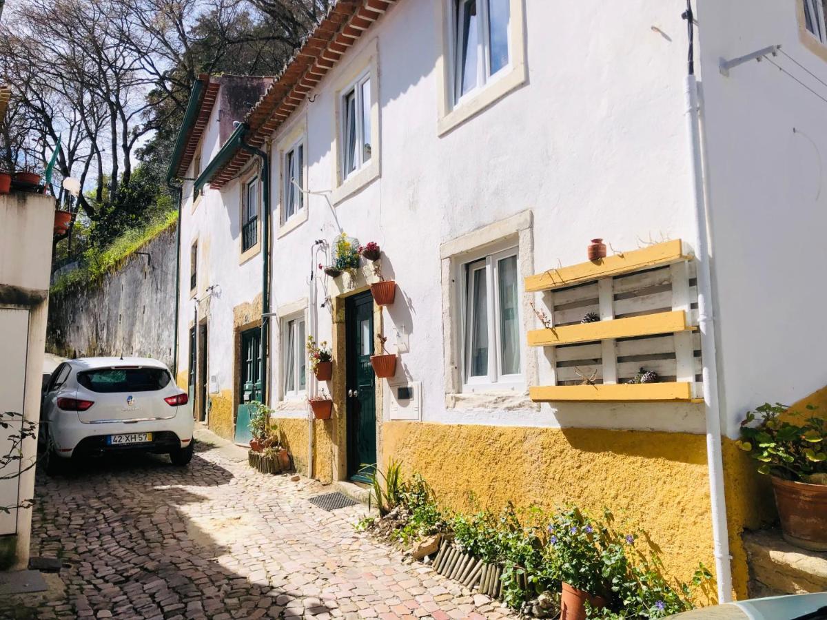 Villa Pe Do Castelo Casinha - Pet Friendly & Garage Tomar Esterno foto